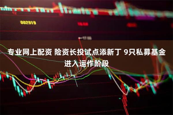 专业网上配资 险资长投试点添新丁 9只私募基金进入运作阶段