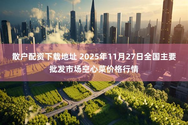 散户配资下载地址 2025年11月27日全国主要批发市场空心菜价格行情