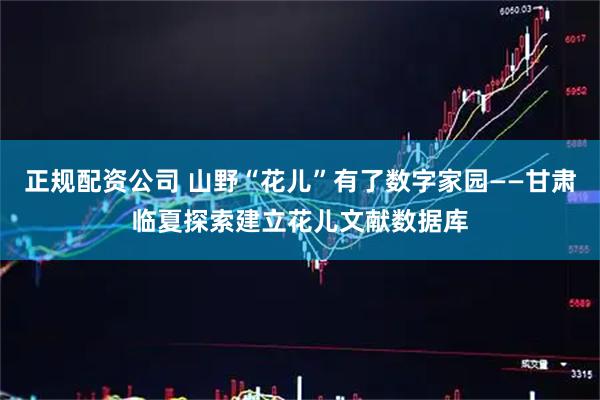 正规配资公司 山野“花儿”有了数字家园——甘肃临夏探索建立花儿文献数据库