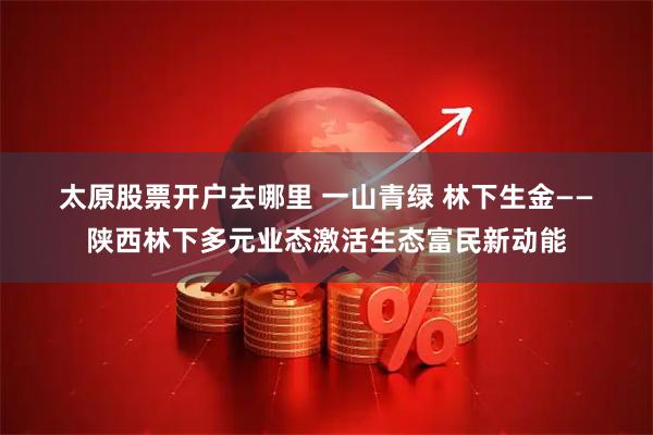 太原股票开户去哪里 一山青绿 林下生金——陕西林下多元业态激活生态富民新动能